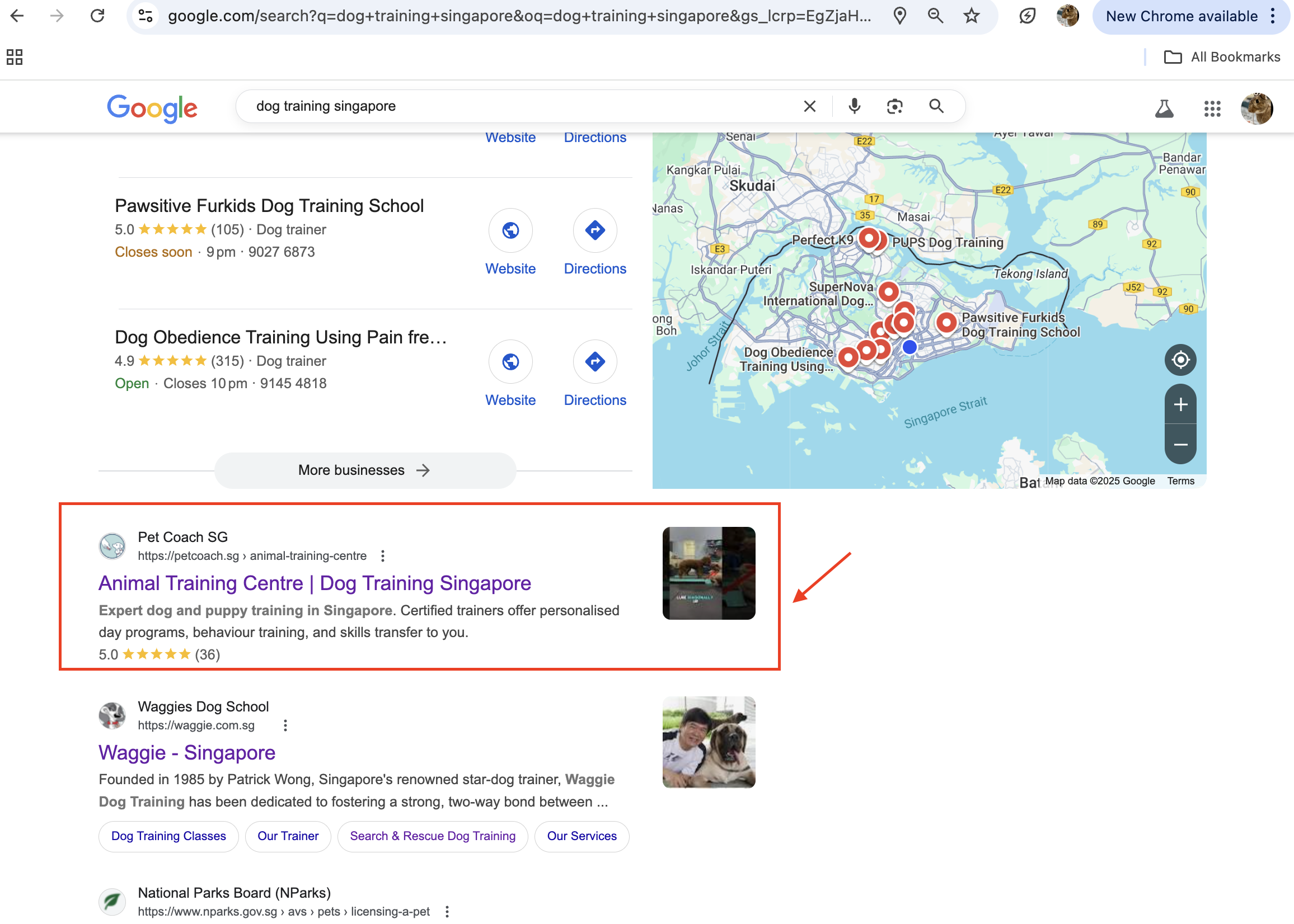 dog training singapore ranking first
